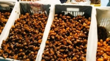 50 جنيها للكيلو.. أسعار البلح السيوي بأسواق مطروح خلال تعاملات الأحد